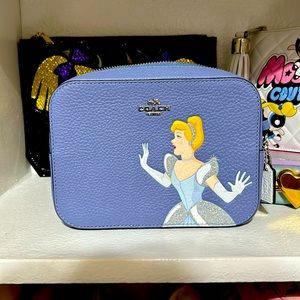 Leather Cinderella coach crossbody